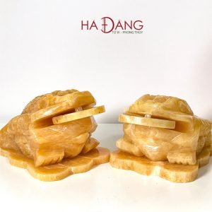 Cóc Thiềm Thừ Ngọc Hoàng Long