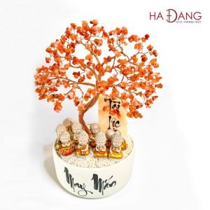 Cây Bình An Tài Lộc Đỏ